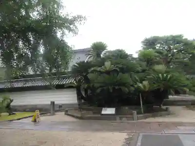 梅林寺(福岡県)