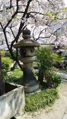 圓通寺の自然