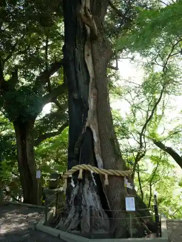 常陸國總社宮(茨城県)