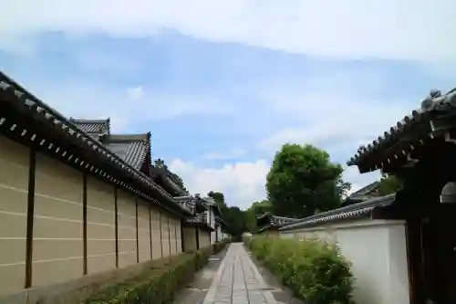 妙心寺（妙心禅寺）(京都府)