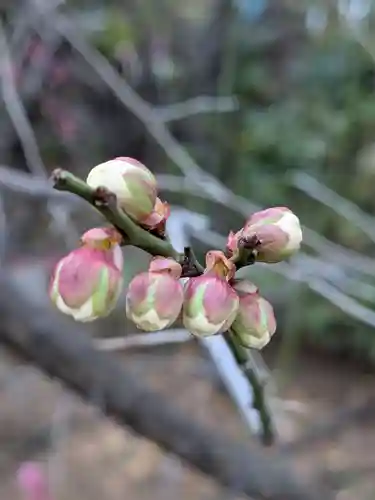 成子天神社(東京都)