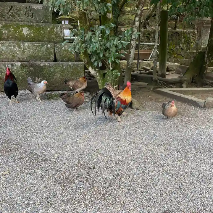 石上神宮(奈良県)