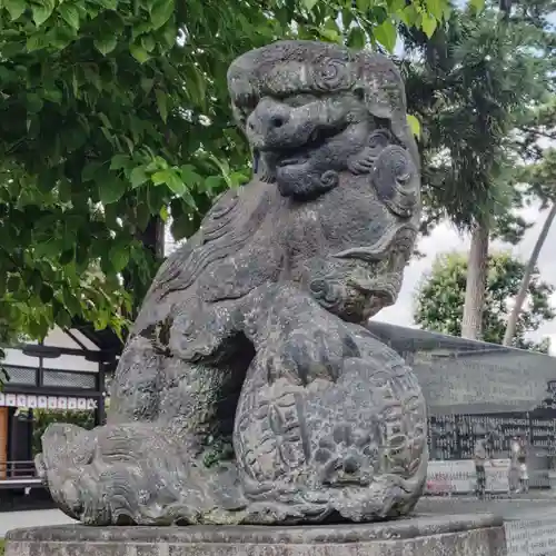 中野沼袋氷川神社の狛犬