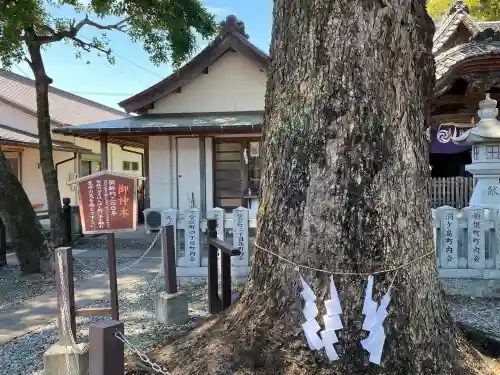 小津神社の{uncategorized: "未分類", other: "その他", undefined: "問題あり", building: "その他建物", grave: "お墓", sacred_gate: "鳥居", guardian: "狛犬", statue: "像", buddha: "仏像", history: "歴史", nature: "自然", garden: "庭園", animal: "動物", pagoda: "塔", temizu: "手水舎", mountain_gate: "山門・神門", sanctuary: "本殿・本堂", subordinate: "末社・摂社", art: "芸術", scenery: "景色", jizo: "地蔵", ema: "絵馬", goshuin: "御朱印", omikuji: "おみくじ", items: "授与品その他", amulet: "お守り", goshuincho: "御朱印帳", eats: "食事", festival: "お祭り", votive_dance: "神楽", shichigosan: "七五三参", wedding: "結婚式", experience: "体験その他", initially: "初詣", around: "周辺", anti_infection: "感染症対策"}