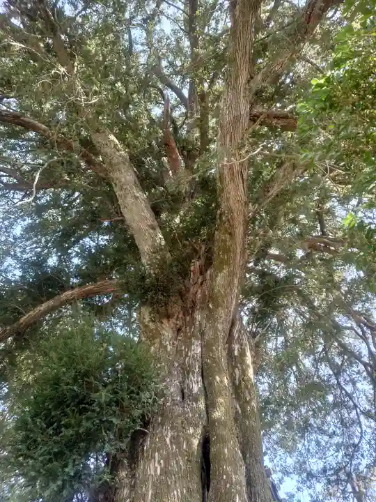 総世寺(神奈川県)