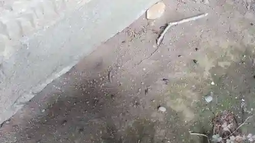 酒門神社(茨城県)