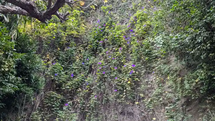 岩窟不動尊(巌窟不動尊/窟堂不動尊/窟堂/岩屋堂)の自然