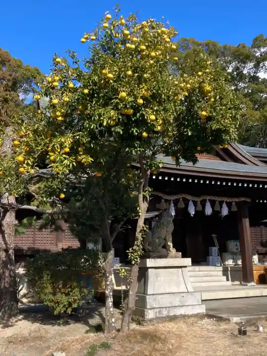 姫路神社の本殿・本堂