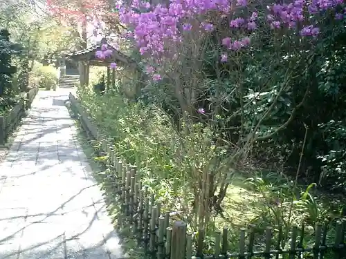 安國論寺（安国論寺）の庭園