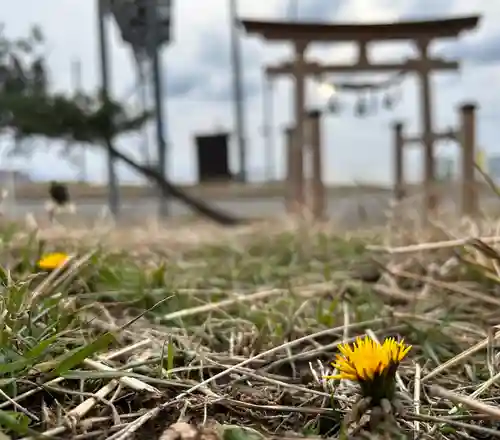 🌸乙部八幡神社(北海道)