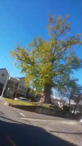 津島神社の周辺