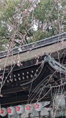 平野神社(京都府)