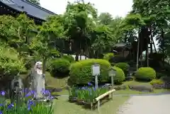 馬頭院(栃木県)