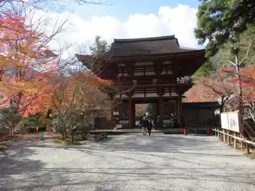 室生寺の山門