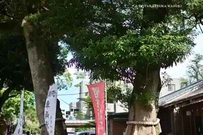 大宮・大原神社(千葉県)
