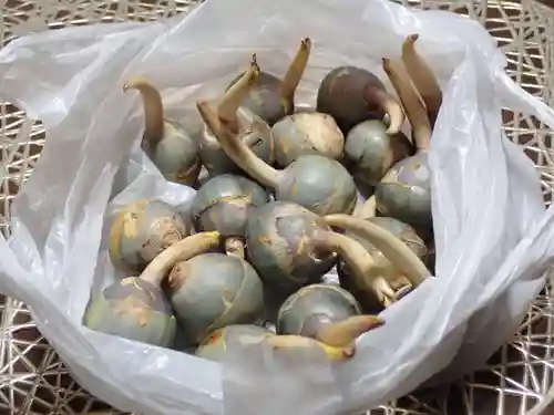 立正寺(神奈川県)