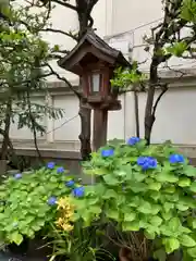 露天神社（お初天神）の自然