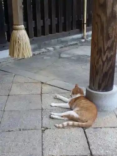 上宮天満宮の動物