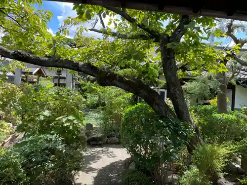 妙徳寺(京都府)