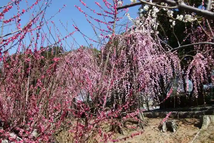 正覚寺(福岡県)