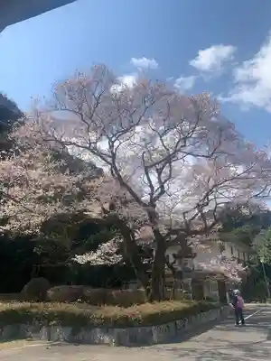 岐阜護國神社(岐阜県)