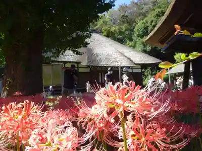 横浜 西方寺の本殿・本堂