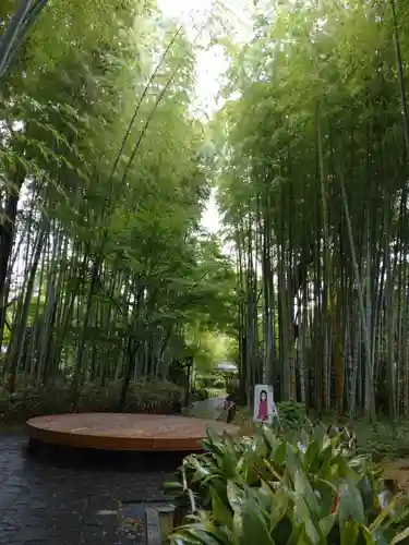 日枝神社の周辺