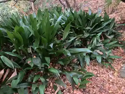須磨稲荷大明神・和佐稲荷大明神(神奈川県)