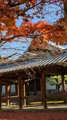 東福禅寺(東福寺)(京都府)