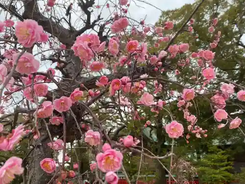 美奈宜神社(福岡県)