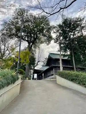 大谷場氷川神社(埼玉県)