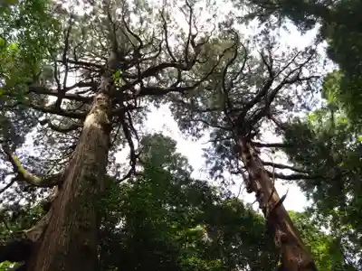 狭野神社(宮崎県)