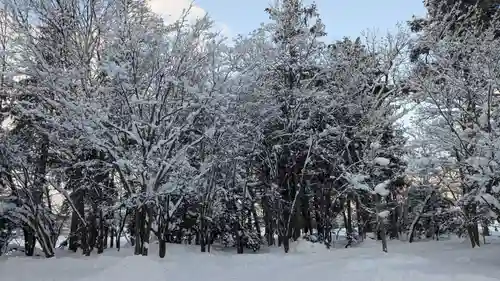 神楽神社の自然
