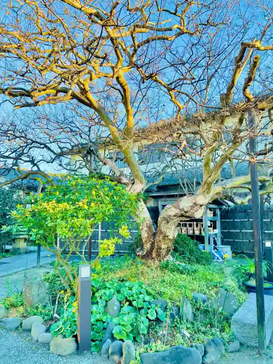 補陀洛寺(神奈川県)