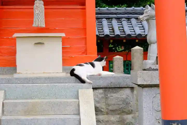 多治速比売神社の動物