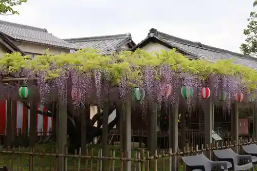 惣社神社(滋賀県)