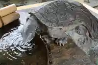 杉杜白髭神社(福井県)