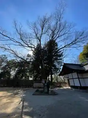 武田神社(山梨県)
