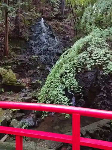 猿田彦三河神社の自然