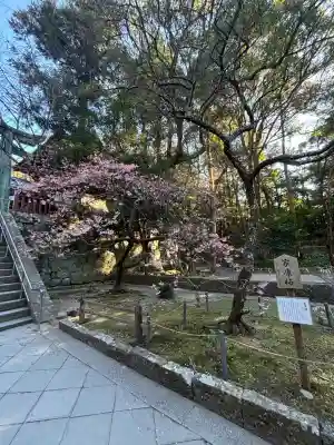久能山東照宮の{uncategorized: "未分類", other: "その他", undefined: "問題あり", building: "その他建物", grave: "お墓", sacred_gate: "鳥居", guardian: "狛犬", statue: "像", buddha: "仏像", history: "歴史", nature: "自然", garden: "庭園", animal: "動物", pagoda: "塔", temizu: "手水舎", mountain_gate: "山門・神門", sanctuary: "本殿・本堂", subordinate: "末社・摂社", art: "芸術", scenery: "景色", jizo: "地蔵", ema: "絵馬", goshuin: "御朱印", omikuji: "おみくじ", items: "授与品その他", amulet: "お守り", goshuincho: "御朱印帳", eats: "食事", festival: "お祭り", votive_dance: "神楽", shichigosan: "七五三参", wedding: "結婚式", experience: "体験その他", initially: "初詣", around: "周辺", anti_infection: "感染症対策"}