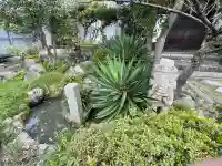 長徳寺の{uncategorized: "未分類", other: "その他", undefined: "問題あり", building: "その他建物", grave: "お墓", sacred_gate: "鳥居", guardian: "狛犬", statue: "像", buddha: "仏像", history: "歴史", nature: "自然", garden: "庭園", animal: "動物", pagoda: "塔", temizu: "手水舎", mountain_gate: "山門・神門", sanctuary: "本殿・本堂", subordinate: "末社・摂社", art: "芸術", scenery: "景色", jizo: "地蔵", ema: "絵馬", goshuin: "御朱印", omikuji: "おみくじ", items: "授与品その他", amulet: "お守り", goshuincho: "御朱印帳", eats: "食事", festival: "お祭り", votive_dance: "神楽", shichigosan: "七五三参", wedding: "結婚式", experience: "体験その他", initially: "初詣", around: "周辺", anti_infection: "感染症対策"}