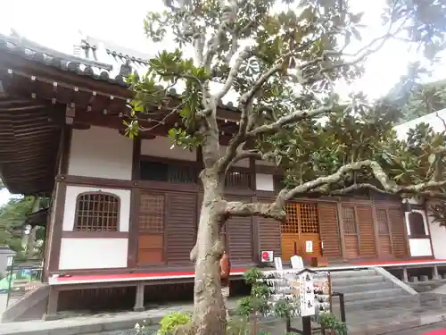 佛日庵の本殿・本堂