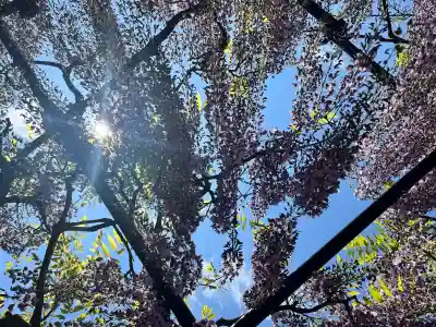 天台宗 五大山 白毫寺(兵庫県)