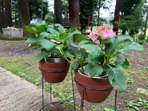 大宮温泉神社(栃木県)