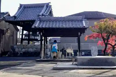 蓮国寺の手水舎