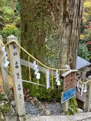 由岐神社(京都府)
