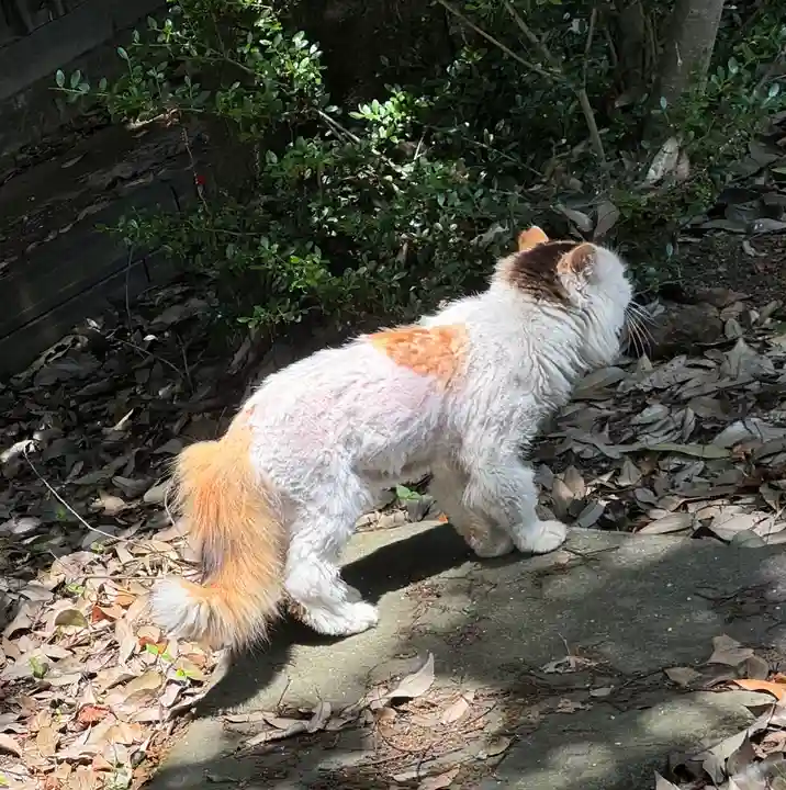 阿邪訶根神社(福島県)