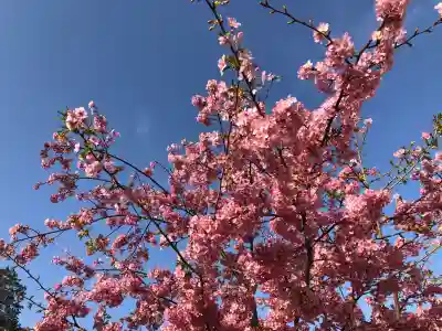 菅原神社の{uncategorized: "未分類", other: "その他", undefined: "問題あり", building: "その他建物", grave: "お墓", sacred_gate: "鳥居", guardian: "狛犬", statue: "像", buddha: "仏像", history: "歴史", nature: "自然", garden: "庭園", animal: "動物", pagoda: "塔", temizu: "手水舎", mountain_gate: "山門・神門", sanctuary: "本殿・本堂", subordinate: "末社・摂社", art: "芸術", scenery: "景色", jizo: "地蔵", ema: "絵馬", goshuin: "御朱印", omikuji: "おみくじ", items: "授与品その他", amulet: "お守り", goshuincho: "御朱印帳", eats: "食事", festival: "お祭り", votive_dance: "神楽", shichigosan: "七五三参", wedding: "結婚式", experience: "体験その他", initially: "初詣", around: "周辺", anti_infection: "感染症対策"}