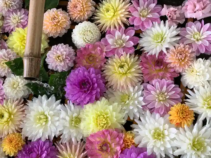 千歳神社の手水舎