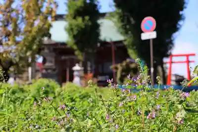 熊野福藏神社の景色